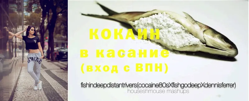 продажа наркотиков  Иркутск  Кокаин Fish Scale 